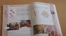 Organizace vzdělává děti o sexu. Učí je, jak vypadá souhlas i znásilnění