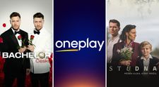 Google Trends v Česku pro Novu: Boduje Oneplay, Studna i Bachelor!