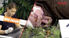 Jindřicha Valšíka z Ordinace někdo brutálně zavraždil na procházce se psem! VIDEO