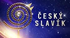Poslední možnost hlasování v anketě Český slavík 2023: Rozhodněte o vítězi