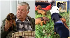 ZE ZÁKULISÍ Ordinace: Ta jsou roztomilá! Čendova štěňata všechny dostala, i hraním!