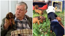 ZE ZÁKULISÍ Ordinace: Ta jsou roztomilá! Čendova štěňata všechny dostala, i hraním!