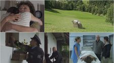 JE TO TU: Nové díly Policie Modrava jsou tady! Podívejte se, co vás čeká