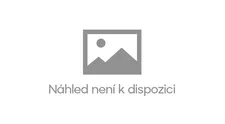 Malé uličníky by v nich hledal málokdo: Nejslavnější dětští herci jsou dnes k nepoznání! FOTO