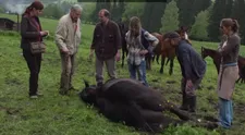 Říká o sobě, že je Vltavou křtěná Pražanda! Která česká herečka navzdory tomu tak miluje Šumavu?