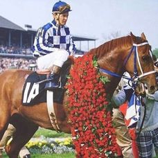 Secretariat - 5