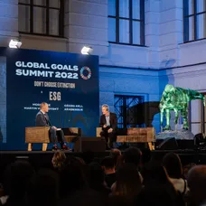 Global Goals Summit (5)