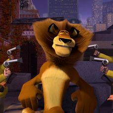 Madagaskar - 8