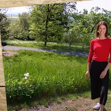 Rady ptáka Loskutáka - poutání na výstavu