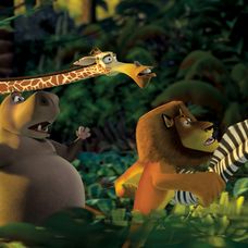 Madagaskar - 10