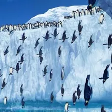 Happy feet - 9