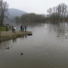 Výměna manželek 24. 5. - 5