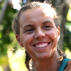 Survivor - Nikola1