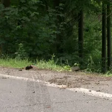 Výměna manželek - Těžká autonehoda - 5