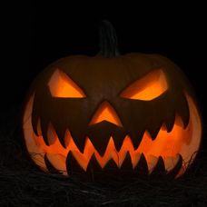 Halloween (15)