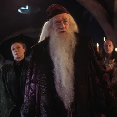 Harry Potter a Tajemná komnata - 4
