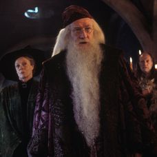 Harry Potter a Tajemná komnata - 4
