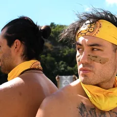 Survivor - Renne