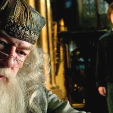 Harry Potter a Fénixův řád