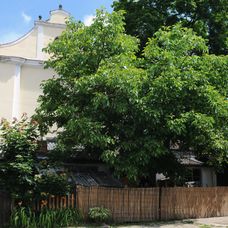 Křečovice - Vesnička má středisková (2014)