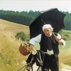 Slunce, seno a pár facek - 5