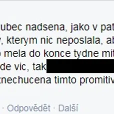 Výměna manželek - 2