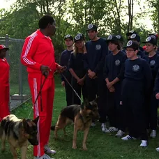 Policejní akademie 3 - 4