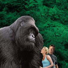 Velký Joe - Mighty Joe Young 1998 - 4