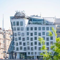 Restaurace Ginger&Fred