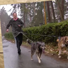 Rady ptáka Loskutáka - dogtrekking