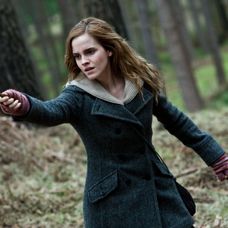 Harry Potter a Relikvie smrti 1 - 22