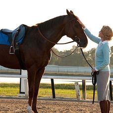 Secretariat - 7