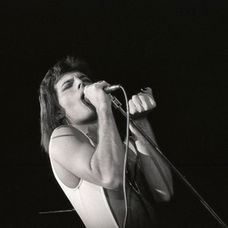 Freddie Mercury (6)