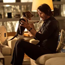 John Wick -