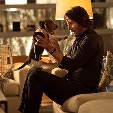 John Wick -
