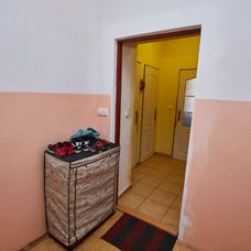 Mise nový domov - 12. 12. 2018 - 8