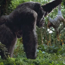 Velký Joe - Mighty Joe Young 1998 - 3