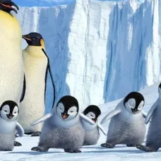 Happy feet - 8