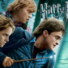 Harry Potter a Relikvie smrti - část 1