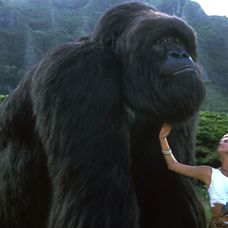 Velký Joe - Mighty Joe Young 1998 - 6