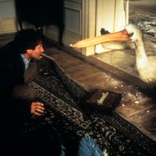 Jumanji