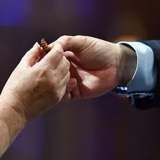MasterChef: 8.díl - brouci - 15