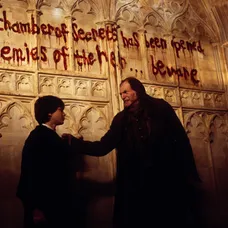 Harry Potter a Tajemná komnata