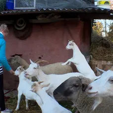 Výměna manželek 13.3.2019 ukázka 1 - 3