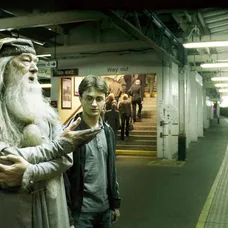 Harry Potter a Albus Brumbál