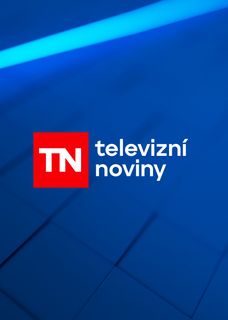 Televizní noviny