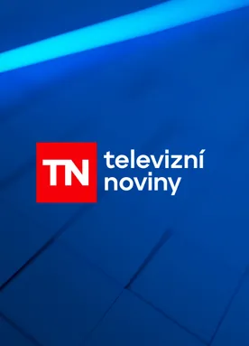 Televizní noviny