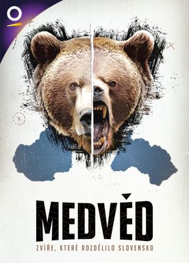 Medvěd