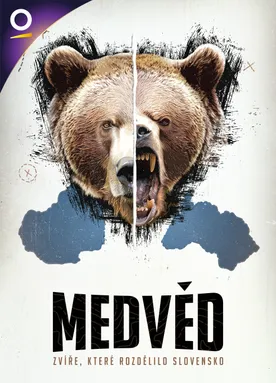 Medvěd