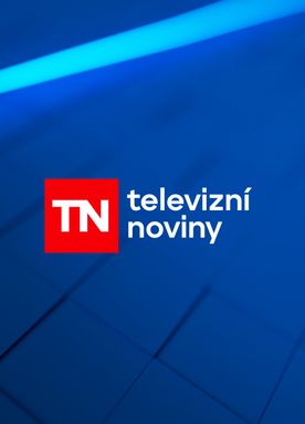 Televizní noviny